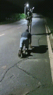 【朱迪】双S户外遛狗散步【双视角版】 bf33283_2封面图